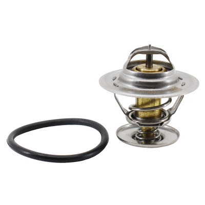Thermostat, coolant (WG2263224)