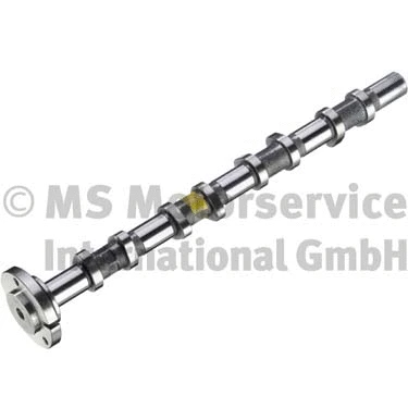 Camshaft (WG1924828)