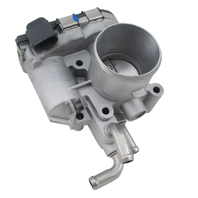 Throttle Body (WG2099644)