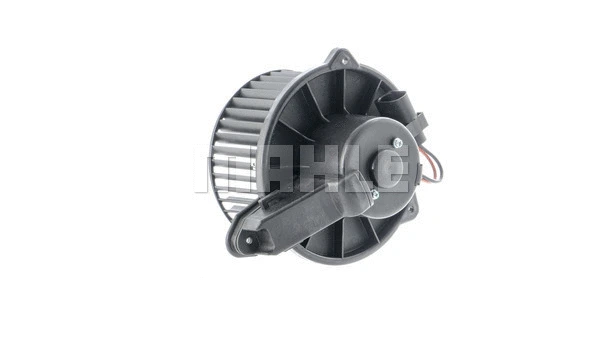 Interior Blower