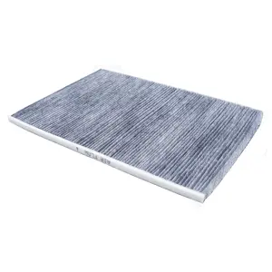 Filter, cabin air (WG1774735)