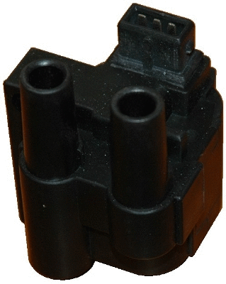 Ignition Coil (WG1012176)