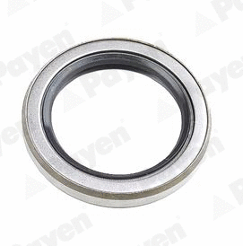 Shaft Seal, wheel hub (WG1183686)