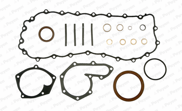 Gasket Kit, crankcase (WG1179928)