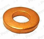 Seal Ring, nozzle holder (WG2202443)