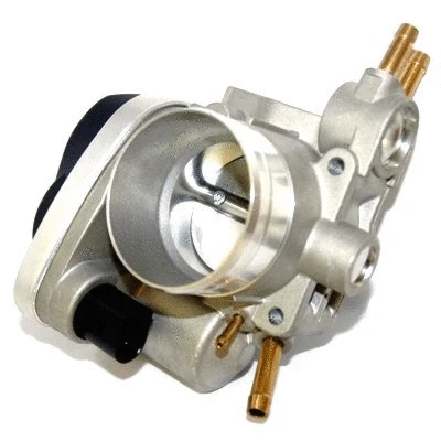 Throttle Body (WG1408792)