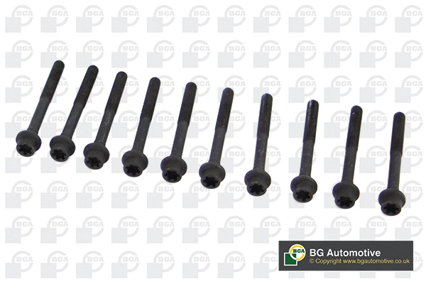 Cylinder Head Bolt Set (WG1490067)