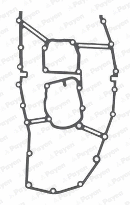 Gasket, timing case (WG1182845)