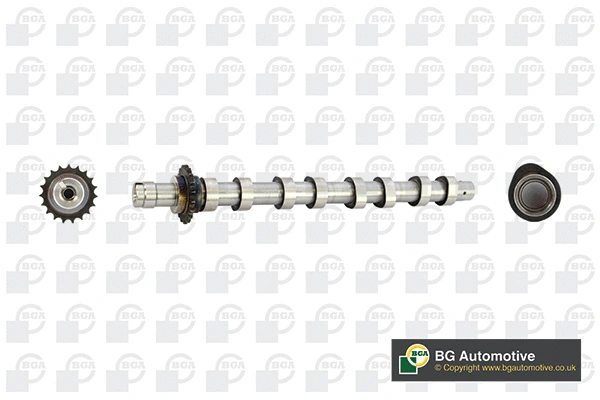 Camshaft (WG1490538)