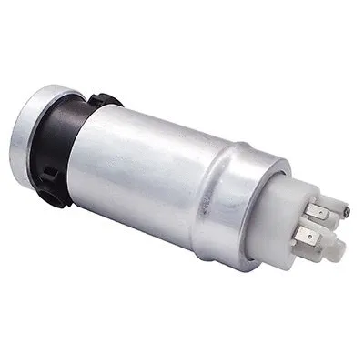 Fuel Pump (WG1012671)
