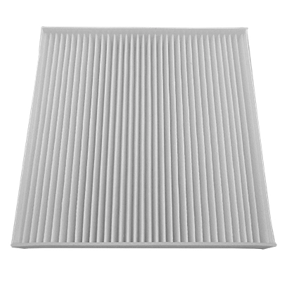 Filter, cabin air (WG1989908)