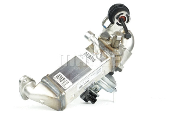 Cooler, exhaust gas recirculation (WG2180232)