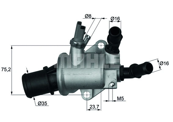 Thermostat, coolant (WG1217590)