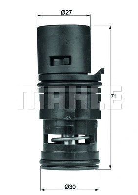 Thermostat, oil cooling (WG1261839)