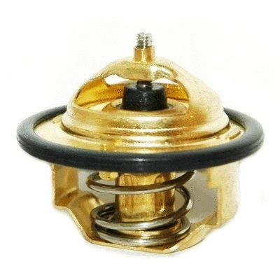 Thermostat, coolant (WG1409285)