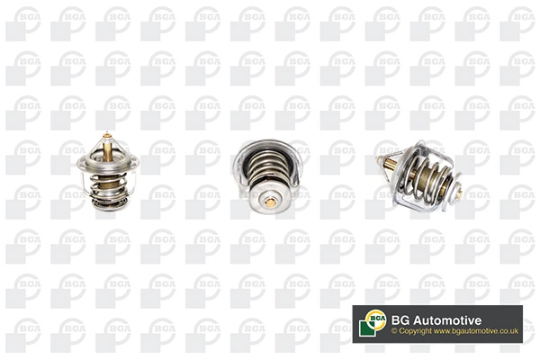 Thermostat, coolant (WG1760604)