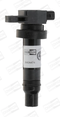 Ignition Coil (WG2009275)
