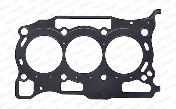 Gasket, cylinder head (WG2171404)