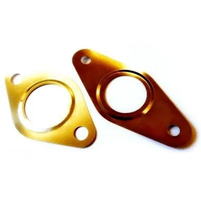 Gasket, EGR valve (WG2262119)