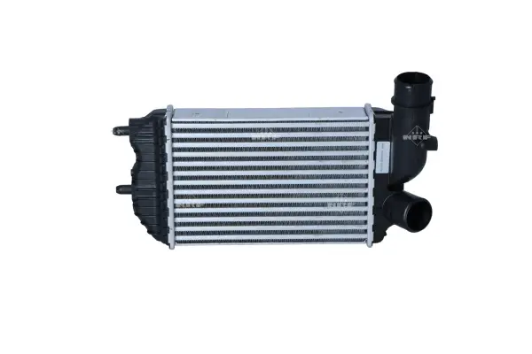 Charge Air Cooler (WG1723695)