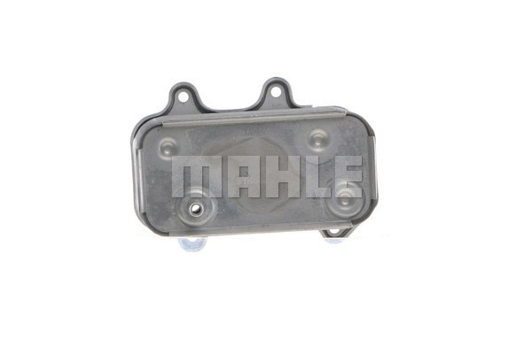 Oil Cooler, engine oil (WG2181100)