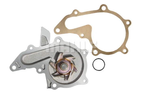 Water Pump, engine cooling (WG2181697)
