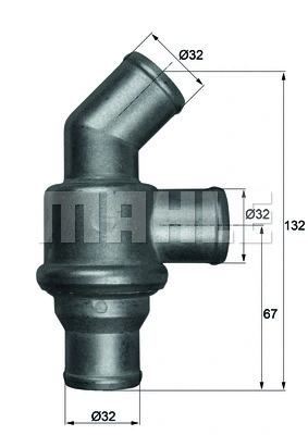 Thermostat, coolant (WG1261805)