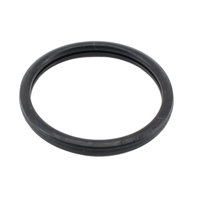 Seal, thermostat (WG2193963)