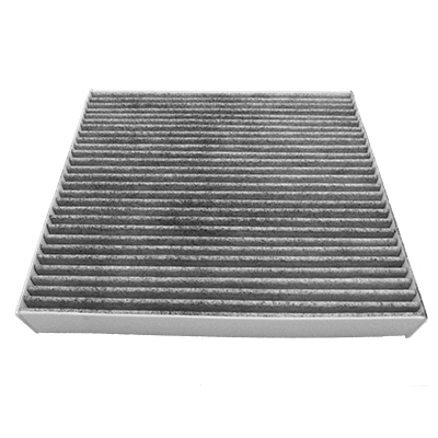 Filter, cabin air (WG2042633)