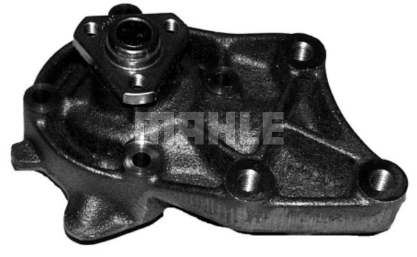 Water Pump, engine cooling (WG2181747)