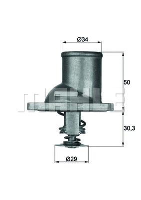 Thermostat, coolant (WG1261818)