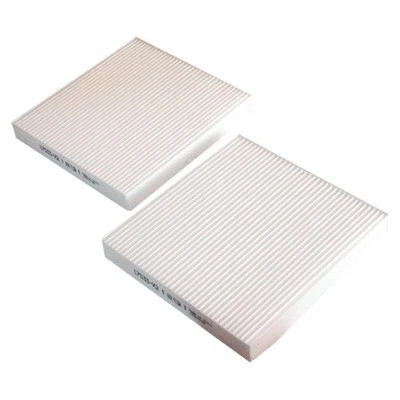 Filter, cabin air (WG1747341)