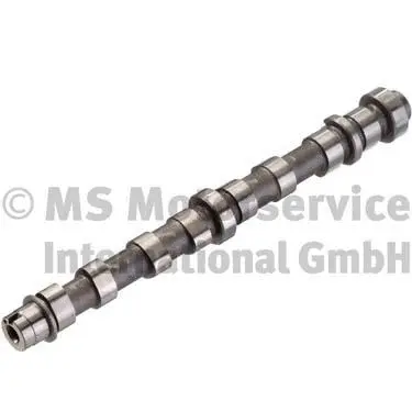 Camshaft (WG1380619)