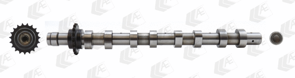 Camshaft (WG1171953)