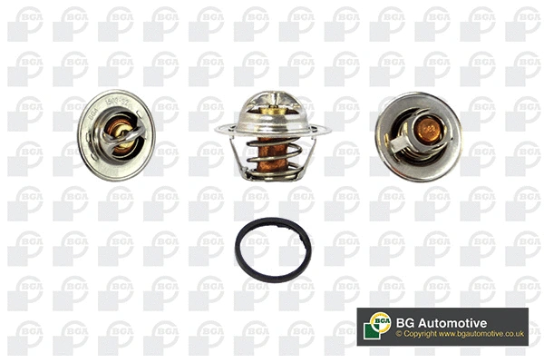 Thermostat, coolant (WG1760487)