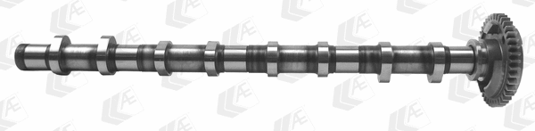 Camshaft (WG1497632)