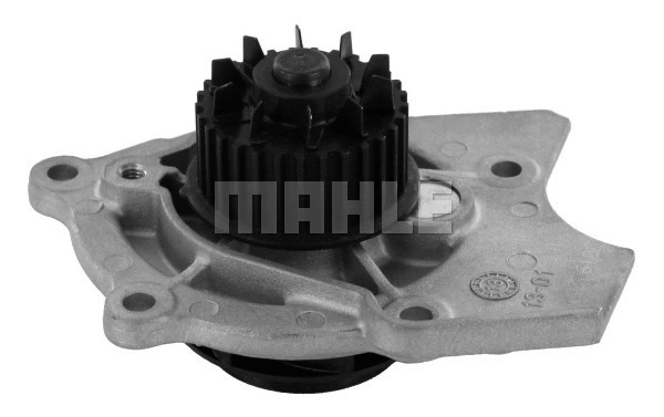 Water Pump, engine cooling (WG2181973)