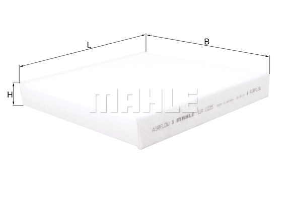 Filter, cabin air (WG2326001)