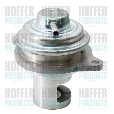 EGR Valve (WG2047653)