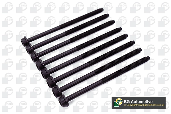 Cylinder Head Bolt Set (WG1490034)