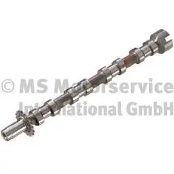 Camshaft (WG1924838)