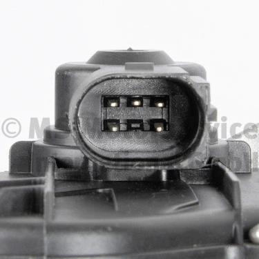 EGR Valve (WG1967143)