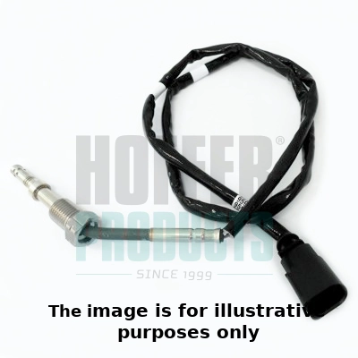 Sensor, exhaust gas temperature (WG1964693)
