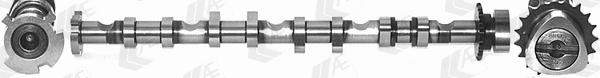Camshaft (WG2202344)