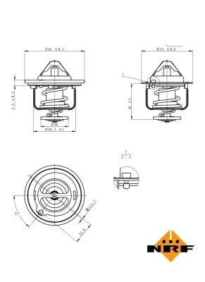 Thermostat, coolant