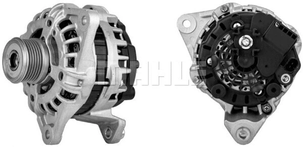 Alternator (WG2203007)