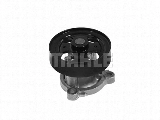 Water Pump, engine cooling (WG2181793)