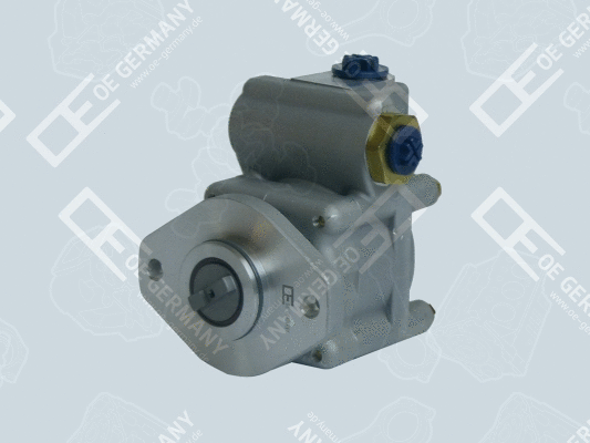 Hydraulic Pump, steering (WG2102681)