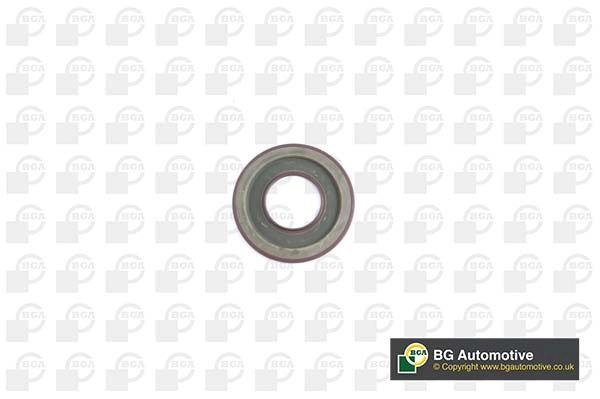 Shaft Seal, crankshaft (WG1941048)