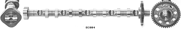 Camshaft (WG1924194)